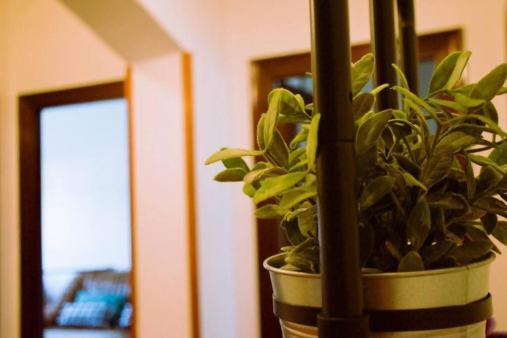 Conide, El Mirador Apartment Овиедо Стая снимка